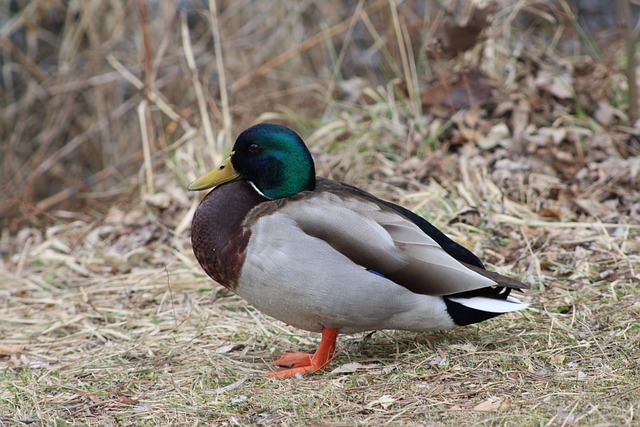 10 smarte tips til at knække krydsordskoden