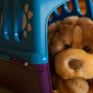 Sådan sikrer du en sund og behagelig søvn for din hund med den rette hundekurv