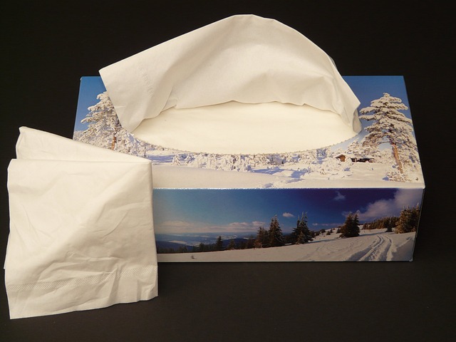 Papirhåndklæder til rejser: Den praktiske løsning for rejsende