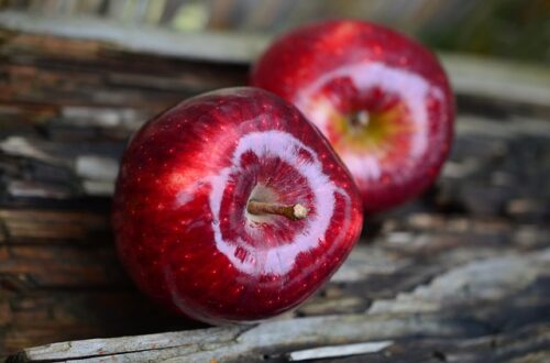 De mest innovative måder at bruge æbleskrællen på i din have