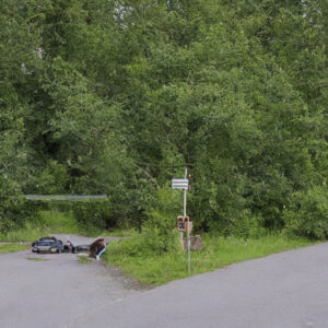 Mårfældning i byområder: Løsninger og udfordringer